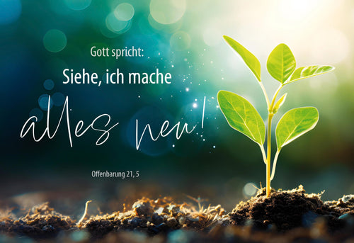 A3 Poster Jahreslosung 2026 Pflanze