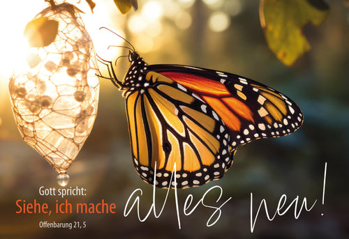 A3 Poster Jahreslosung 2026 Schmetterling