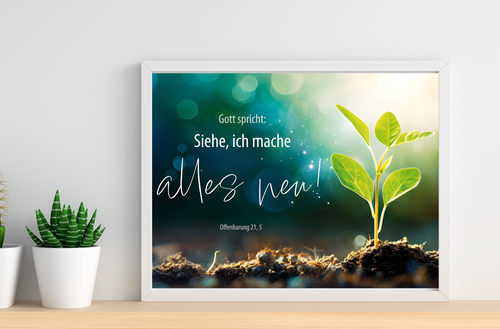 A3 Poster Jahreslosung 2026 Pflanze