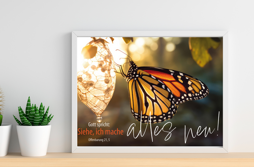 A3 Poster Jahreslosung 2026 Schmetterling