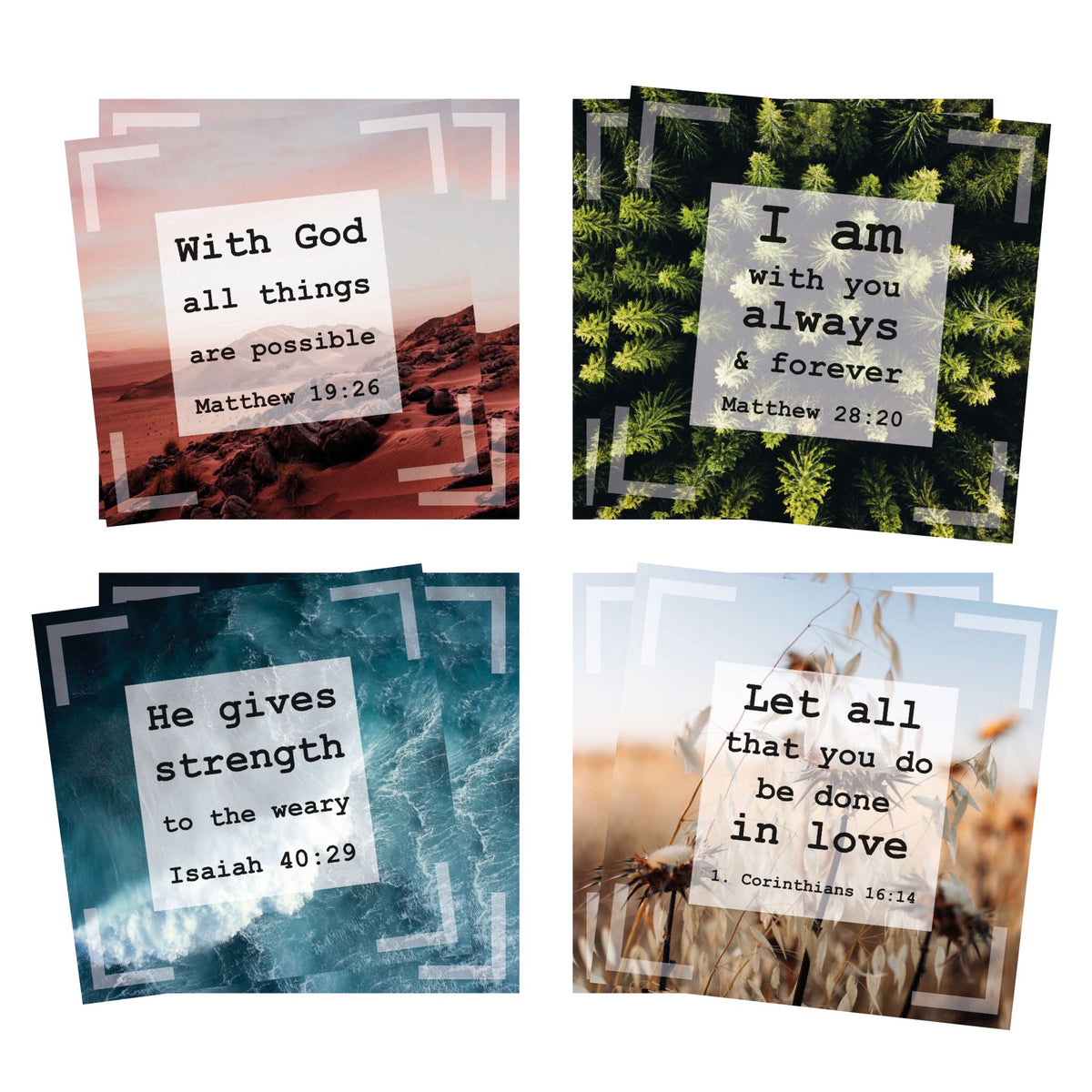 Einführungspaket Quad-Cards 4 x 2 Karten