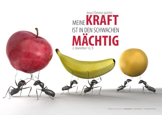 Poster A3 Jahreslosung 2012