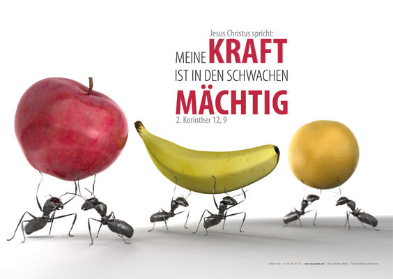 Poster A4 Jahreslosung 2012